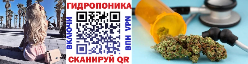 как найти   блэк спрут ТОР  Шишки марихуана индика  Чадан 
